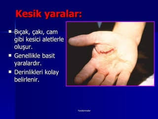 Hizmet Galerisi